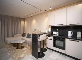 Luxury Studio in Luxury Place