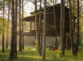 Treehouseestonia