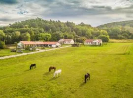 Bánvölgye Vendégház és Apartmanok