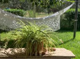 Cottage Dell' Ulivo