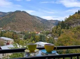 Borjomi Nest 1