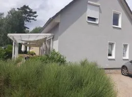 "thousand lakes" Comfortable holiday residence