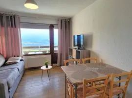 Studio cosy 2 pers au pied des pistes - FR-1-393-176