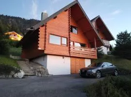 Chalet les Alpages vue panoramique sur le lac Léman