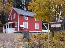Amnerud 5