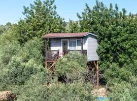 Casa Arbol