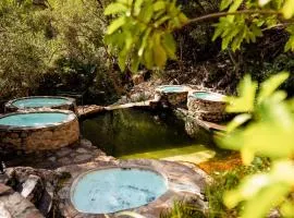 The Baths Natural Hot Springs