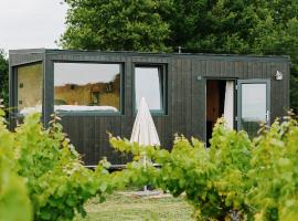 Tiny House au milieu des Vignes, Hotel in Arbis
