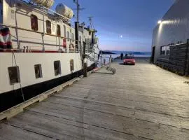 Norwegian Fjord Explorer Line