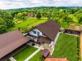 Casa Andra si Denis