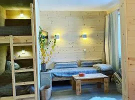 Le Nest Valmorel Skis au pied