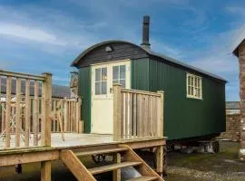 Shepherds Hut at Maes Uldale