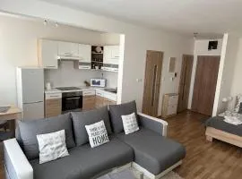 Apartmán Torysa