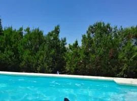 Terraza de Panaholma