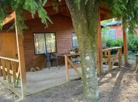 Cabañas en caburgua