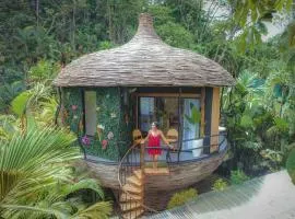 Arenal Nest