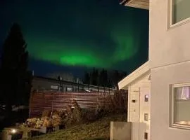 Fin Leilighet i Norrøna-feltet