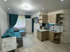 3-x комнатная квартира Аэропорт