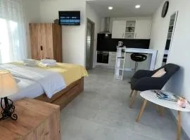 Studio Apartment Iva with Balcony