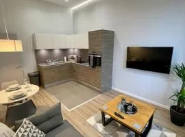 Luxury 1 Bedroom Bournville Apartment