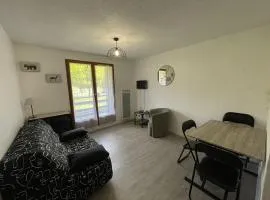 Charmant T2 au Lioran avec accès direct aux pistes et animaux admis - FR-1-787-90