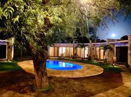 CASA VITINI