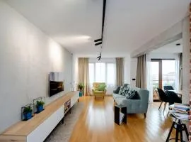 Luxury and Cozy Apartment with lots of Sun