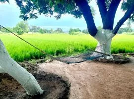 Harmony Sunrise Guest House & Restaurant