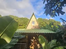 Banana Eco Camp