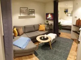 Moderne leilighet nær sentrum