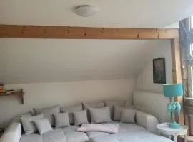 Großzügiges Studio-Apartment Siegblick 70qm mit XXL Balkon