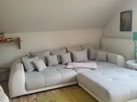 Großzügiges Studio-Apartment Siegblick 70qm mit XXL Balkon