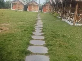 coconut tree guest house