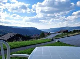 Appartement avec vue sur le lac de Gérardmer, proche des pistes de ski
