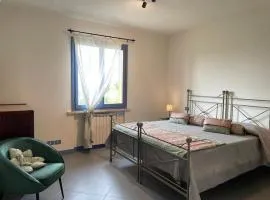 Lo Scosso Siena