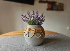 Urban loft Valencia playa