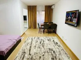 Flat Maior Bacila 32-34 ANL