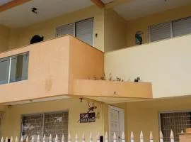 Triplex Amarelo 4