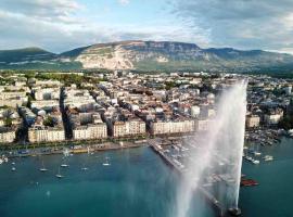 Luxury Apartment in Central Geneva