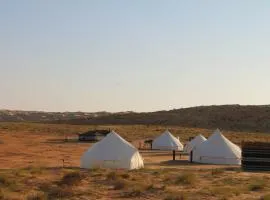 Stargaze Camp