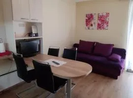 Apartma Rogla Gaber 109