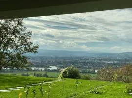 Panorama-Paradies im Rheintal