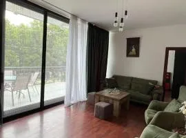 Mountain House Kodjori