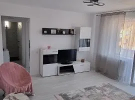 Apartament central pe pietonala nr2