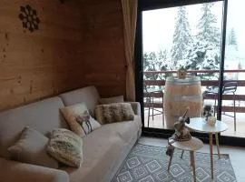 Appartement montagne LE FLOCON