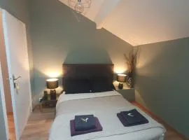 Chambre cosy avec sdb privative