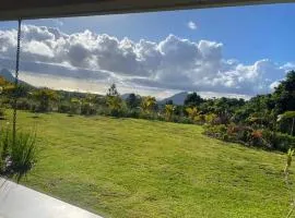 Magnifique maison moderne avec vue