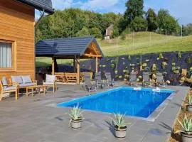 Iwierzyce Home with Pool for 10
