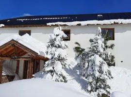 Maneco Hostel