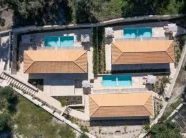 ULIVETO PAXOS
